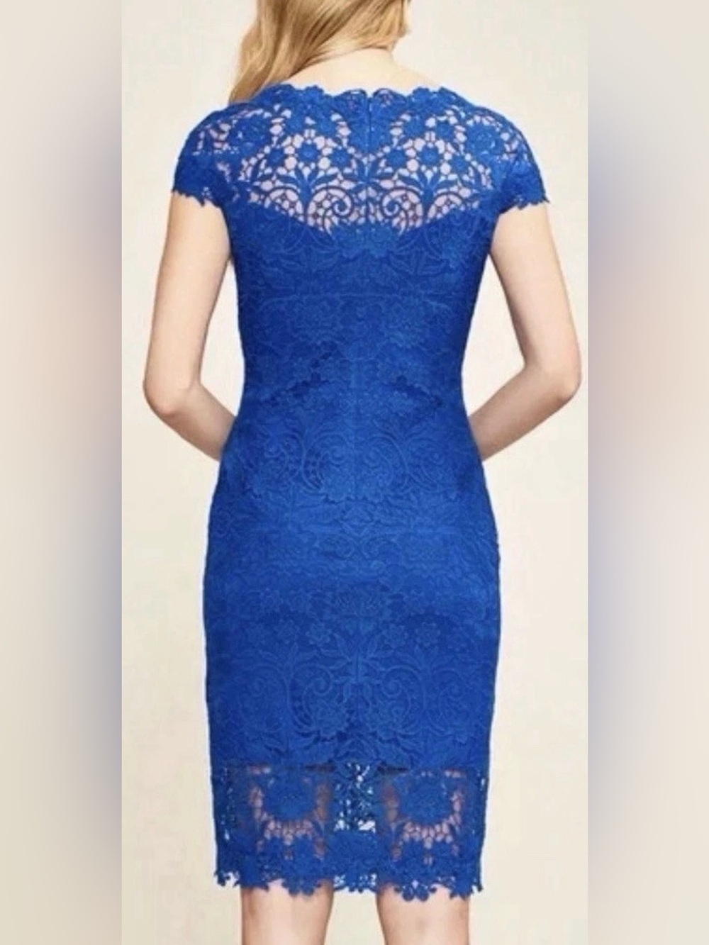Tadashi Shoji Royal Blue Lace Cap Sleeve Cocktail Dress Size 10P - Picture 3 of 10